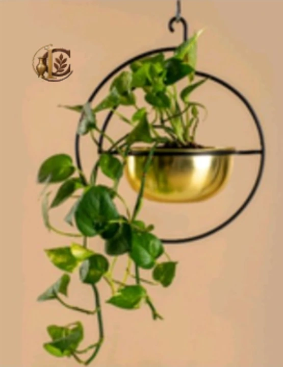 Vega Hanging Planter